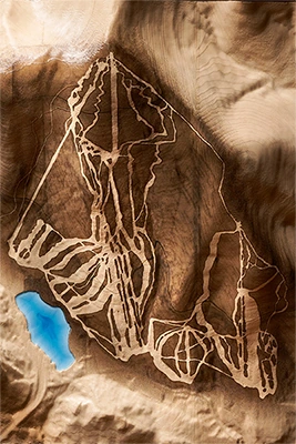 Cannon Mountain topographic relief map