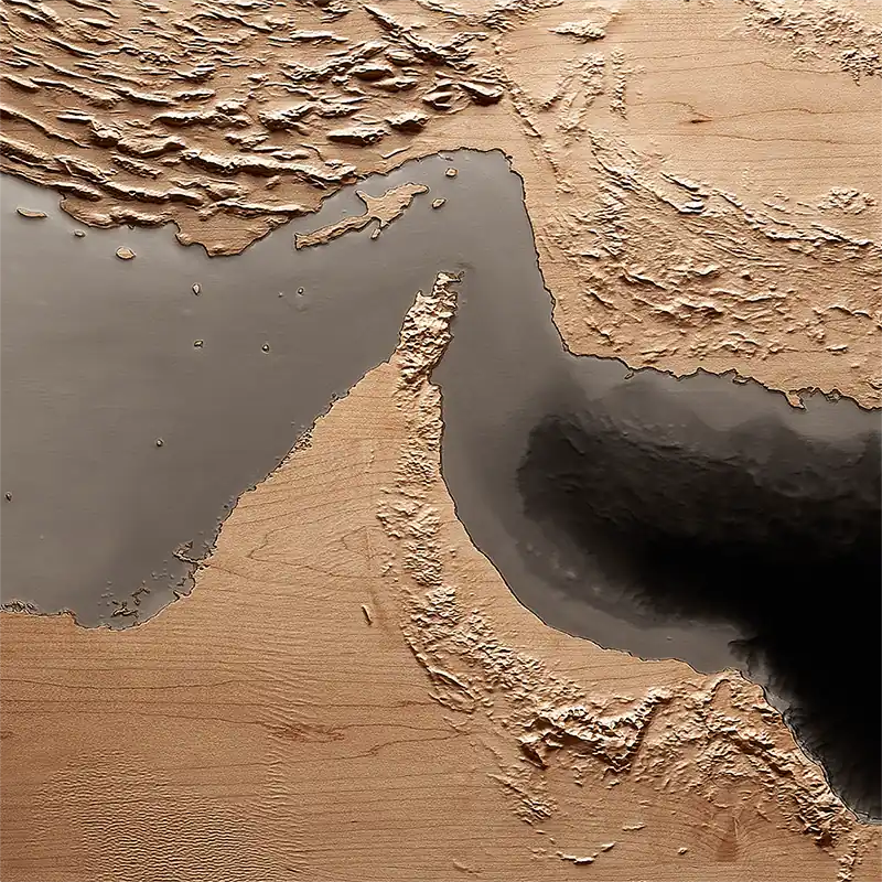 Hormuz sculptural relief in maple and black resin