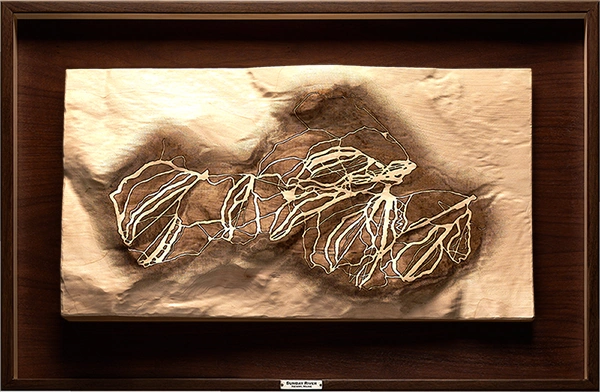Complete topographic composition