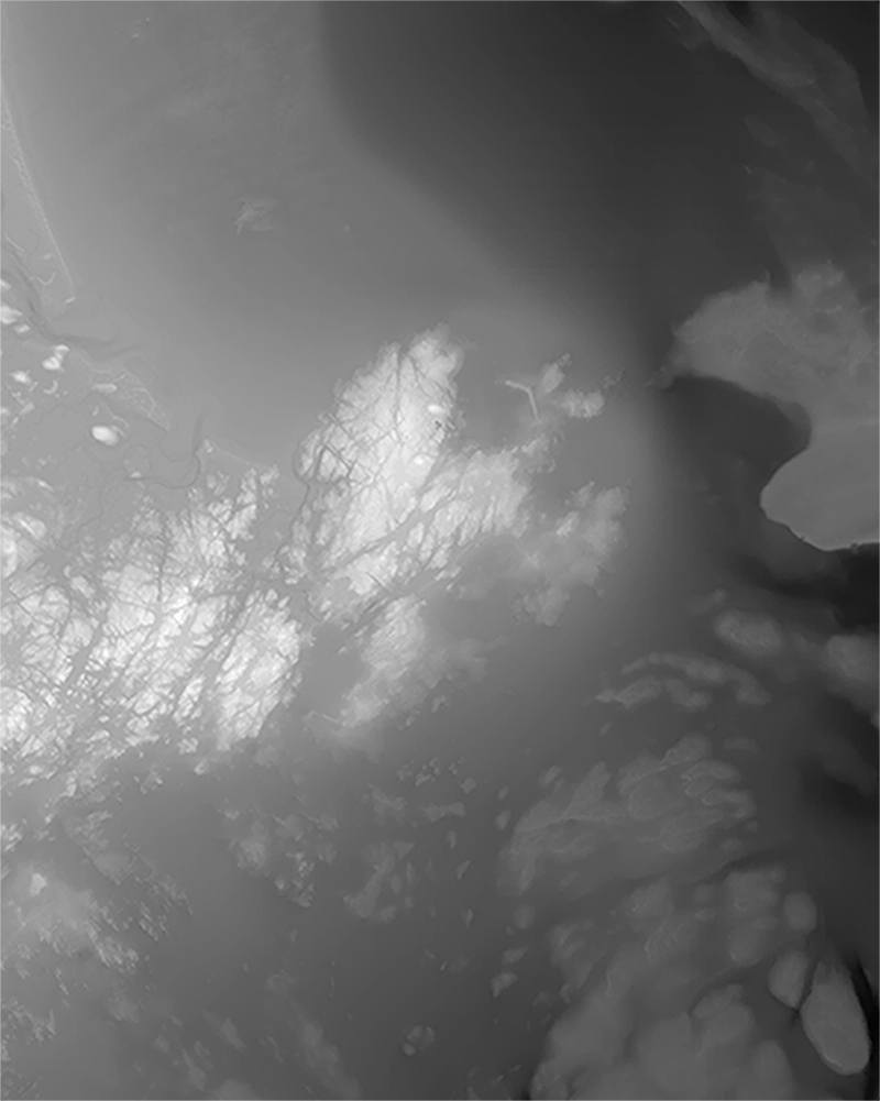 Processed elevation model